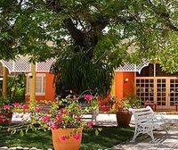 Garden of the Hotel PUERTO PLATA VILLAGE - Playa Dorada - Dominican Republic